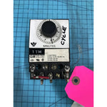 Eagle Signal BR17A6 Timer Relay 0-3 Min Panel Mount 10A 125-250VAC