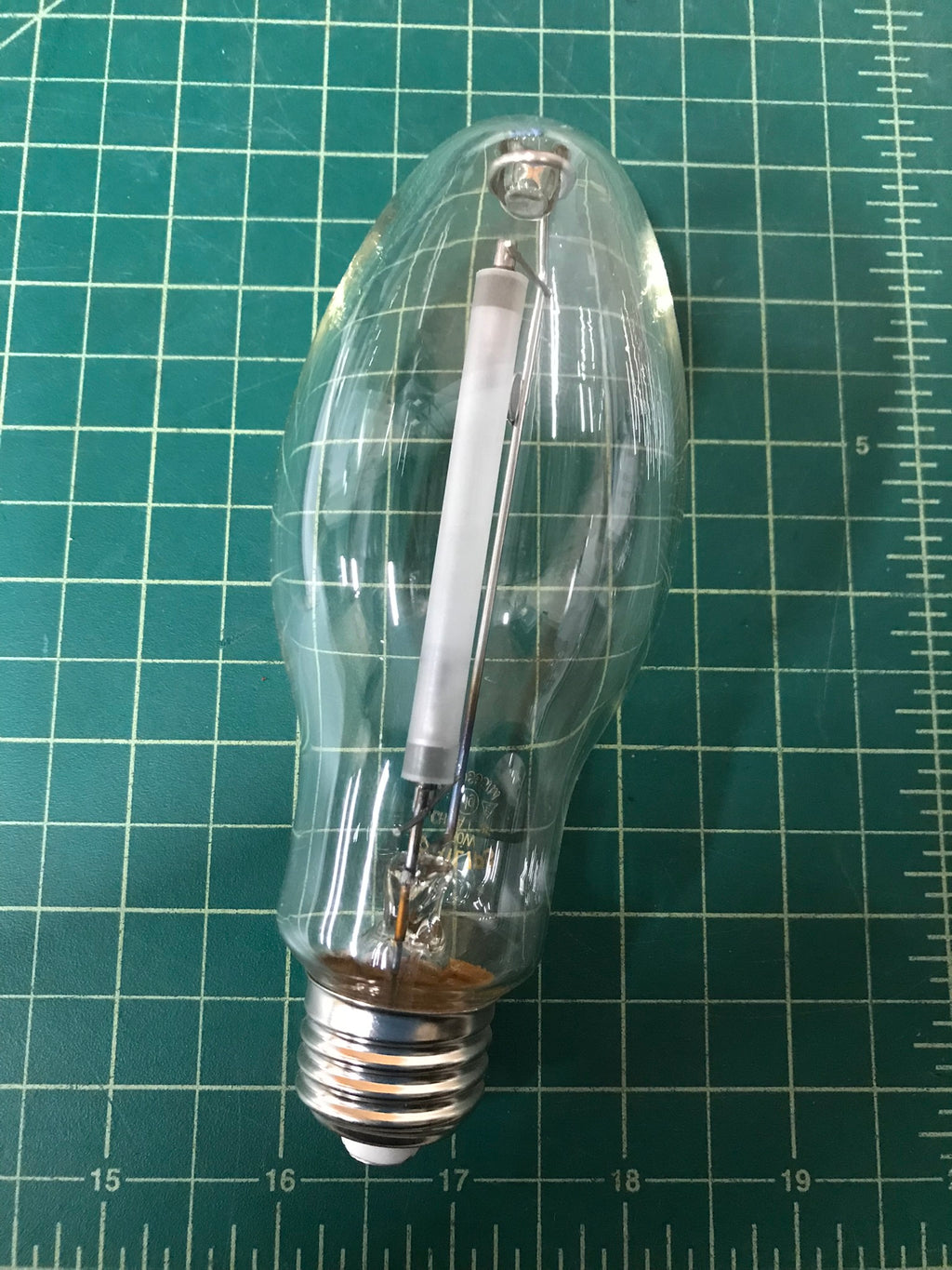 bulb