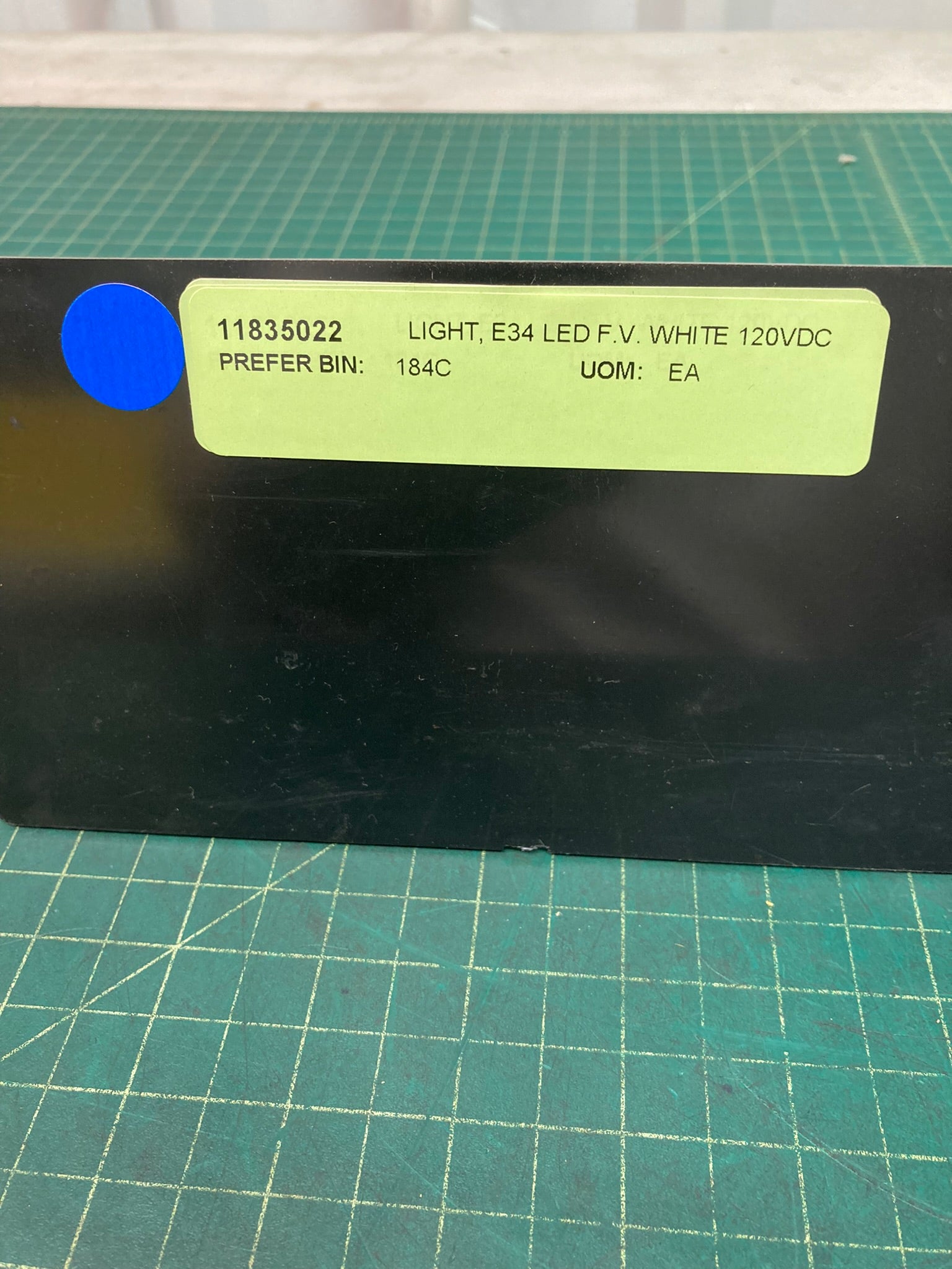 Light, White LED, E34, F.V., 120 DC